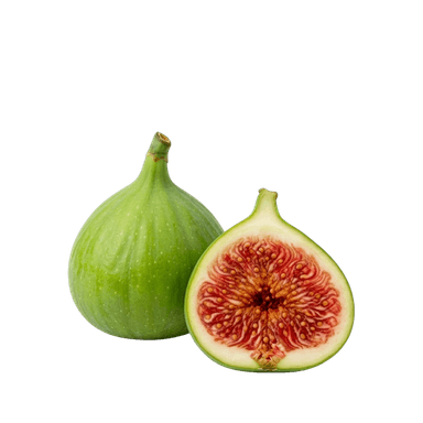 Fig